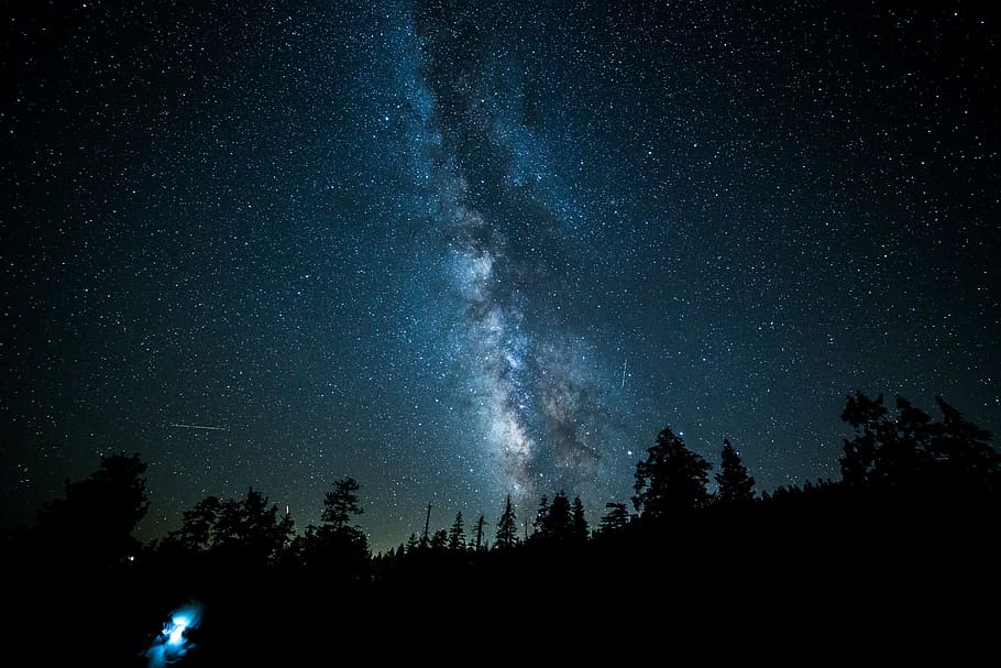 silhouette of pine trees during night time, photo, sky, dark HD wallpaper