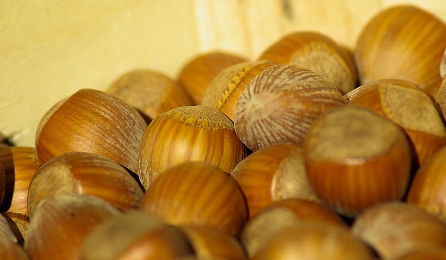 hazelnuts, dried fruit, fall, food and drink, freshness, healthy eating HD wallpaper