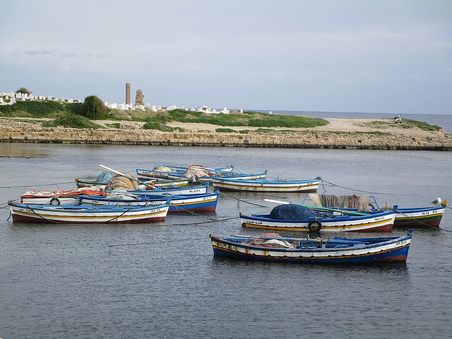 tunisia, mahdia, port, water, nautical vessel, transportation, HD wallpaper