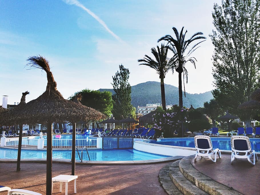Swimming Resort, hotel, leisure, palm trees, pool, recreation HD wallpaper