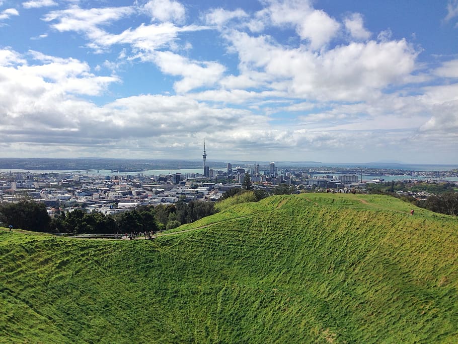 aerial photography of city, green land within cityscape during daytime HD wallpaper