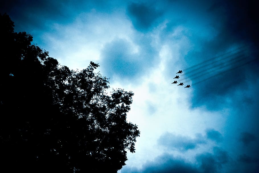jet planes, contrails, sky, clouds, night, evening, trees, silhouette HD wallpaper