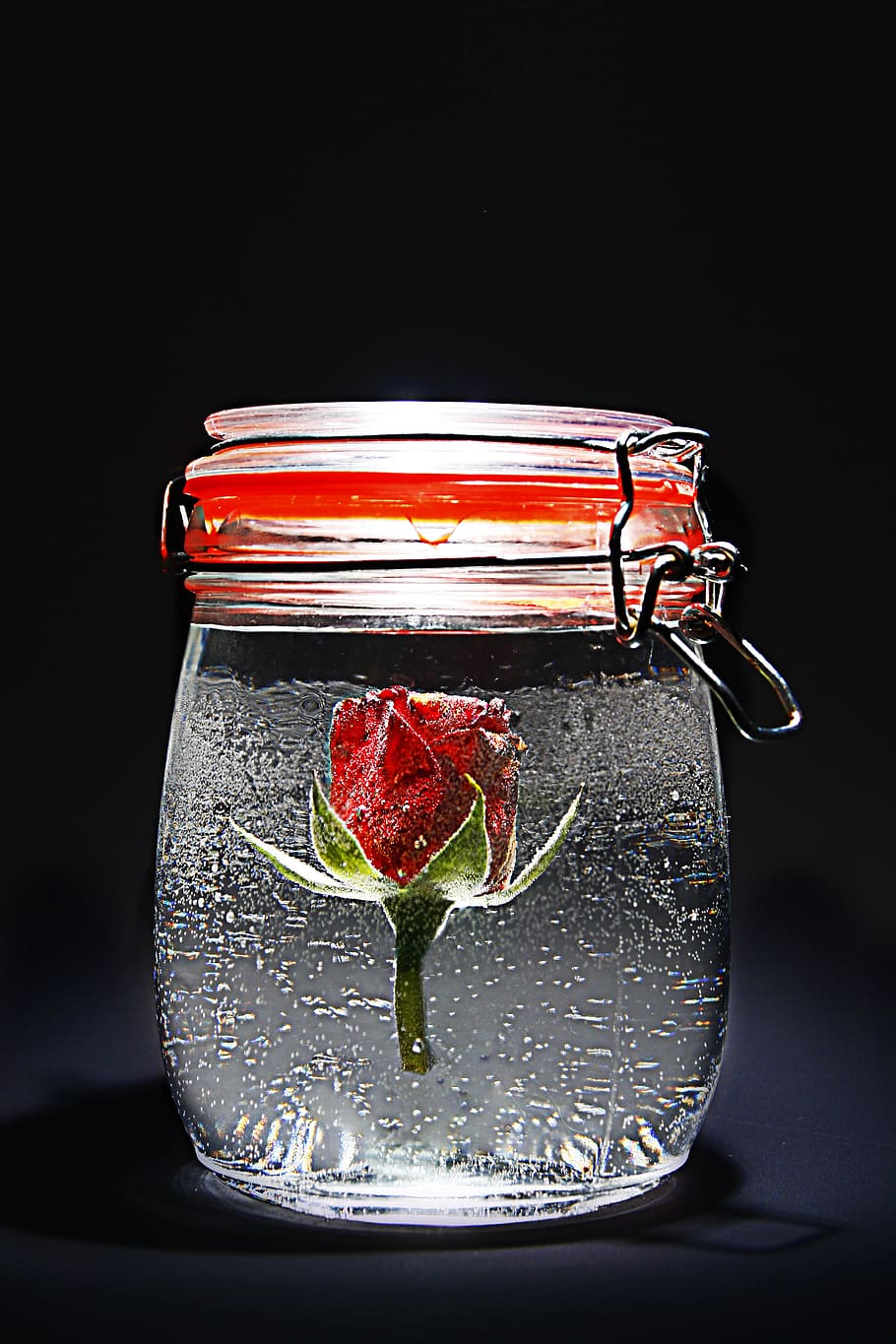 rose, red, jar, ze, rose blooms, red rose, flower, blossom HD wallpaper