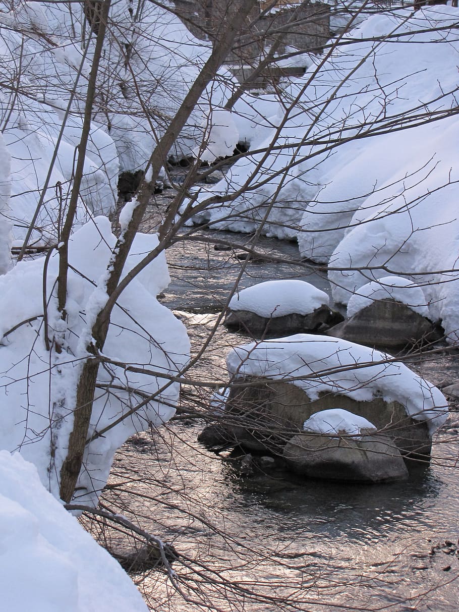 winter, snow, trail, cold temperature, beauty in nature, plant HD wallpaper