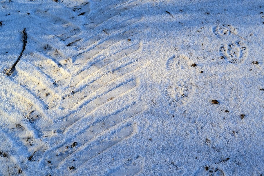 winter, snow, trace, wintry, cold, white, backgrounds, sand HD wallpaper