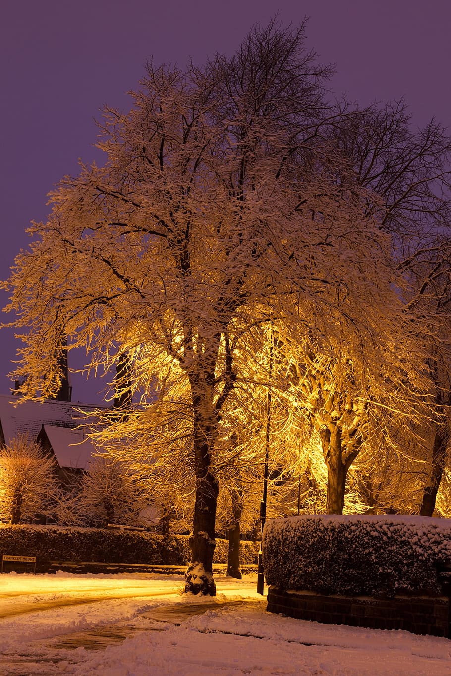 blue, branch, branches, cold, dark, frost, light, nature, night HD wallpaper