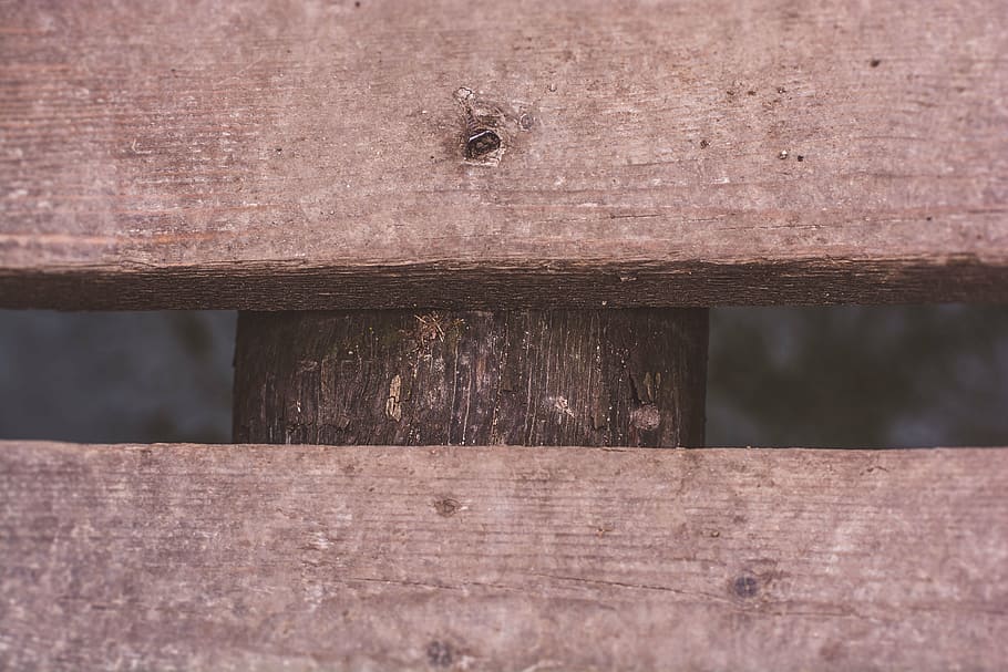 nature, wood, forrest, wood - material, no people, close-up HD wallpaper