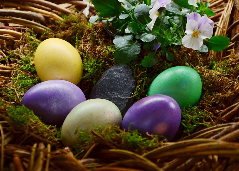 easter eggs, colored, easter nest, painted, colorful, custom HD wallpaper
