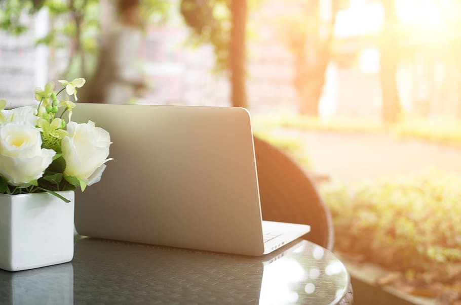 Leisure, Morning, Computer, sunlight, day, close-up, indoors HD wallpaper