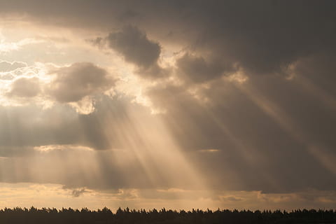 sepia photography of god's ray under stratocumulus clouds, landscape photography of clouds and trees HD wallpaper