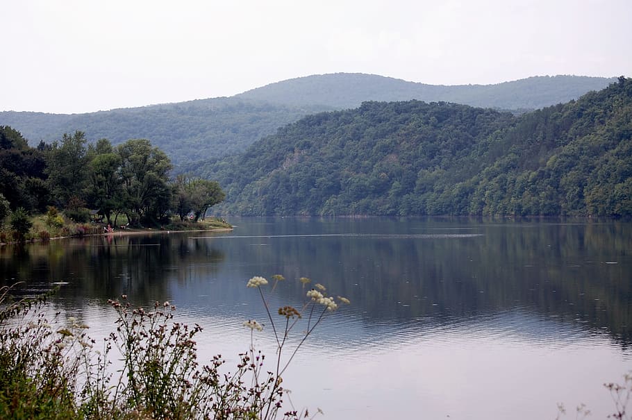 hungary, beech, lakes, landscape, mountain, water, tree, scenics - nature HD wallpaper