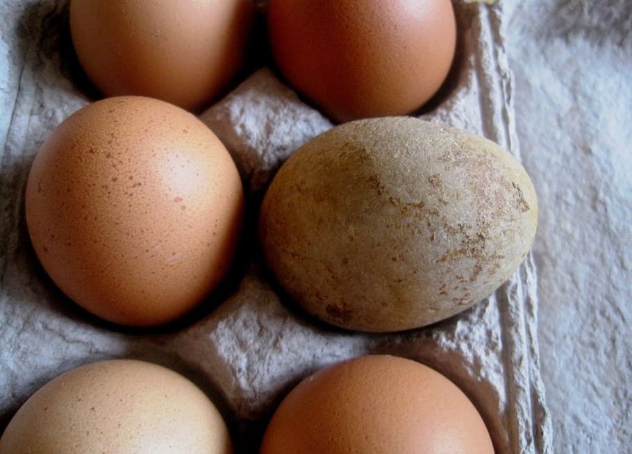 Eggs, Box, Dozen, Food, half dozen, chicken, breakfast, fresh HD wallpaper