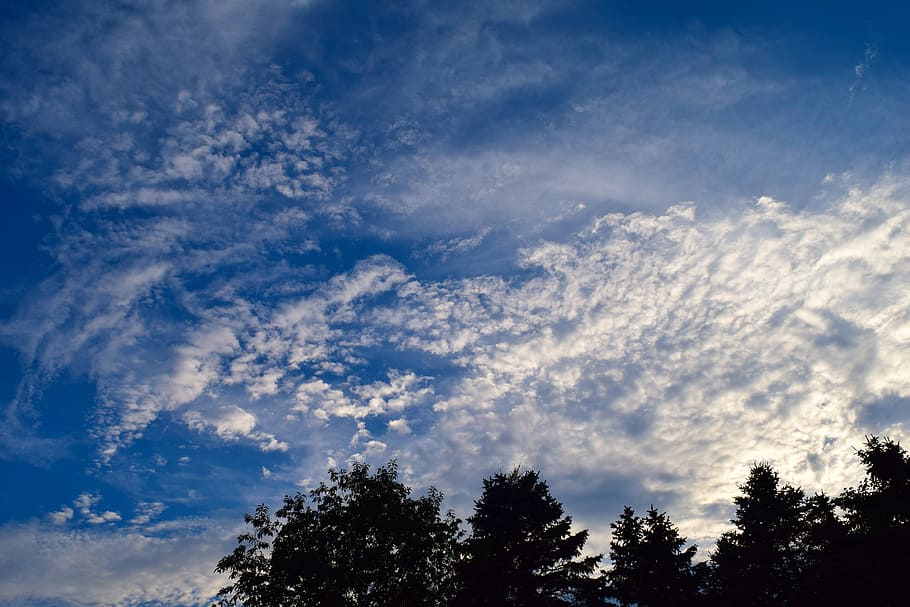 sky, blue, clouds, sunset, evening, trees, silhouette, nature HD wallpaper