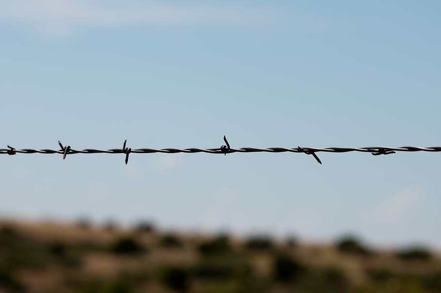 Barbed Wire, Fence, Sharp, Barrier, danger, protection, day HD wallpaper