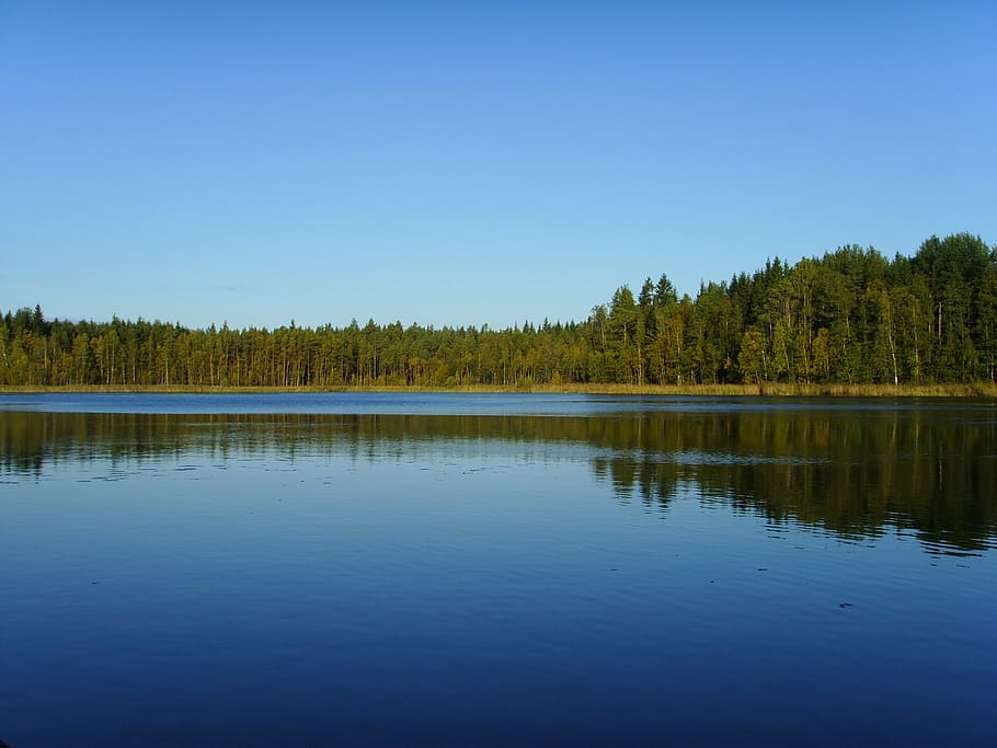 lake, nature, trees, natural, blue, countryside, travel, scene HD wallpaper
