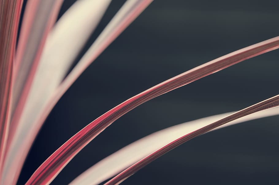 abstract painting, pages, book, macro, paper, open, literature HD wallpaper
