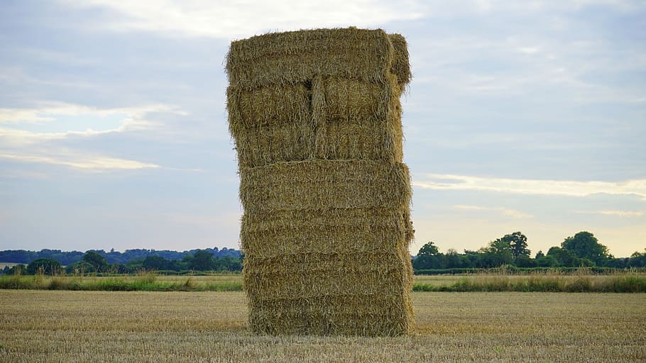hay, field, farm, nature, summer, agriculture, countryside HD wallpaper