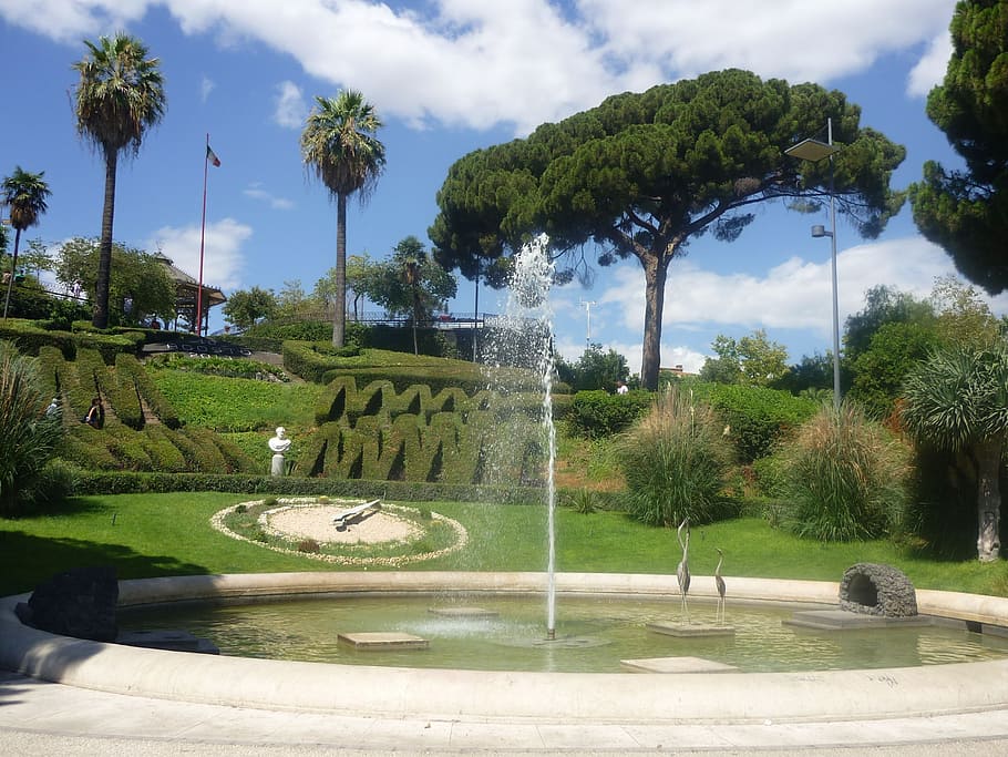 Online crop | HD wallpaper: sicily, catania, park, italy, tree, plant ...