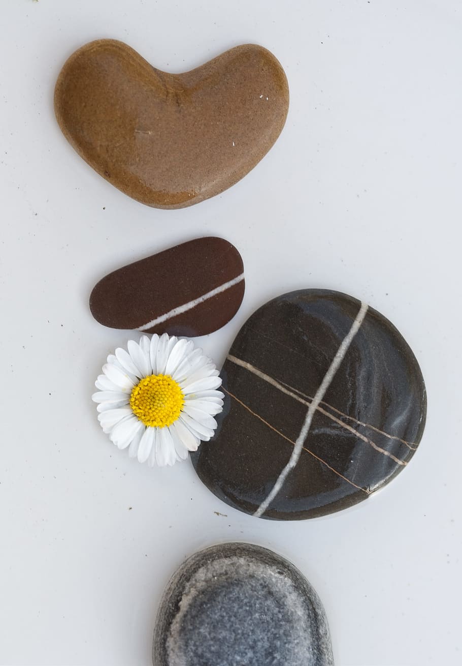stones, pebbles, background, plump, meditation, decoration HD wallpaper