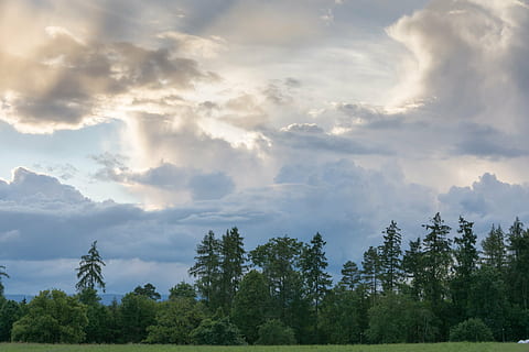 clouds, landscape, trees, fir, field, to-chez-perrin, switzerland HD wallpaper