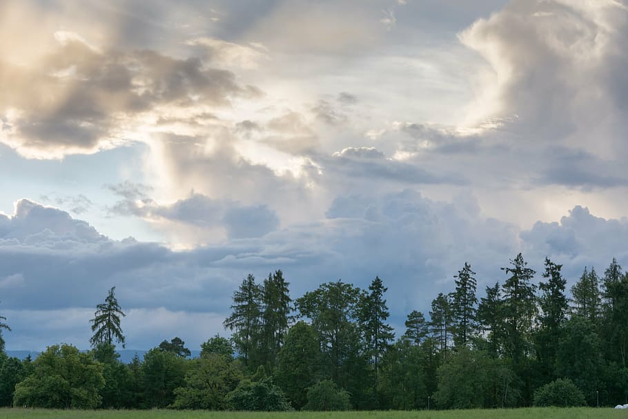 clouds, landscape, trees, fir, field, to-chez-perrin, switzerland HD wallpaper