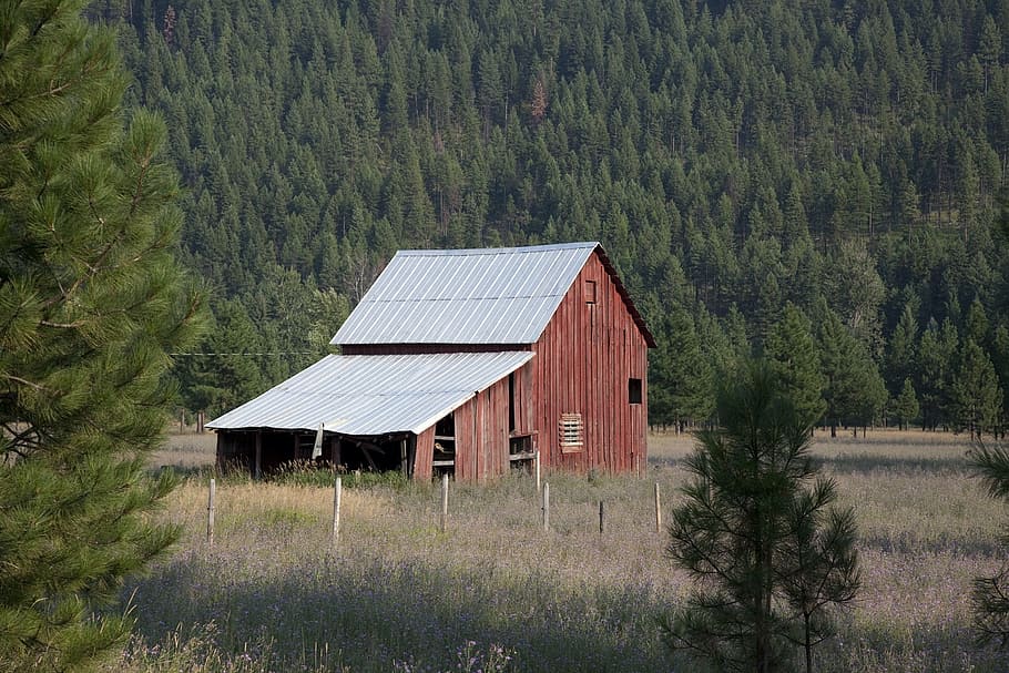 white and red shed during daytime, barn, ranch, wood, farm HD wallpaper