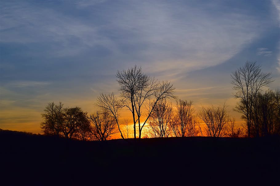 sunset, orange, light, blue, sky, trees, silhouette, nature HD wallpaper
