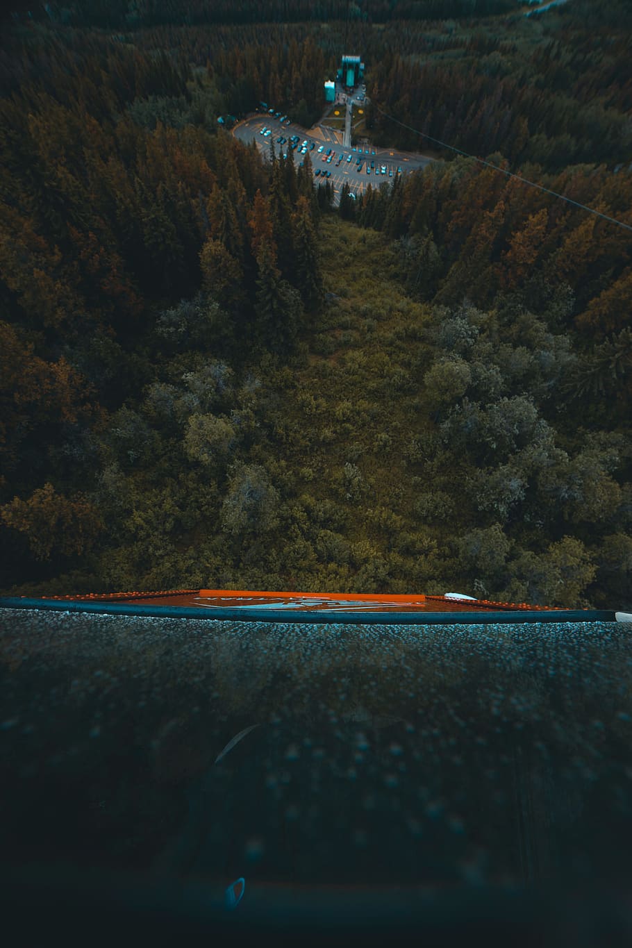 pine, trees, plants, nature, aerial, view, landscape, cable HD wallpaper