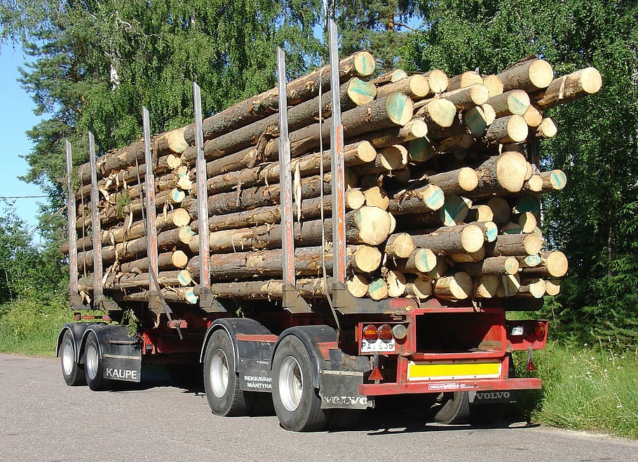vehicle, wood, transportation, truck, lumber Industry, tree