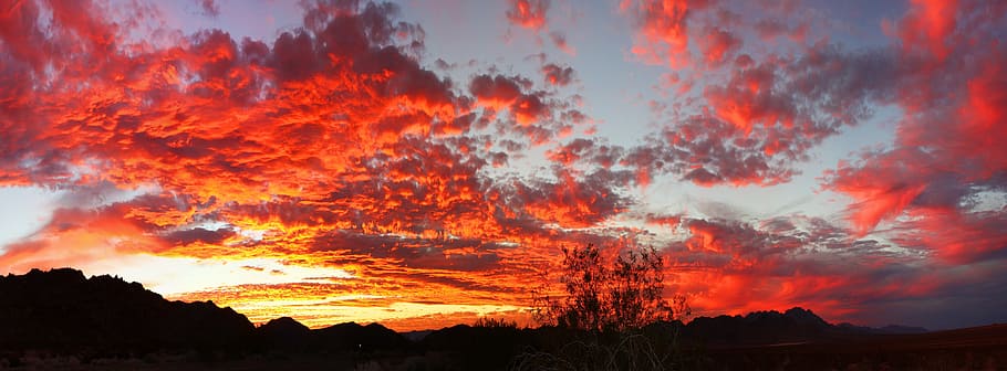 silhouette of tree during sunset, landscape, clouds, panorama HD wallpaper