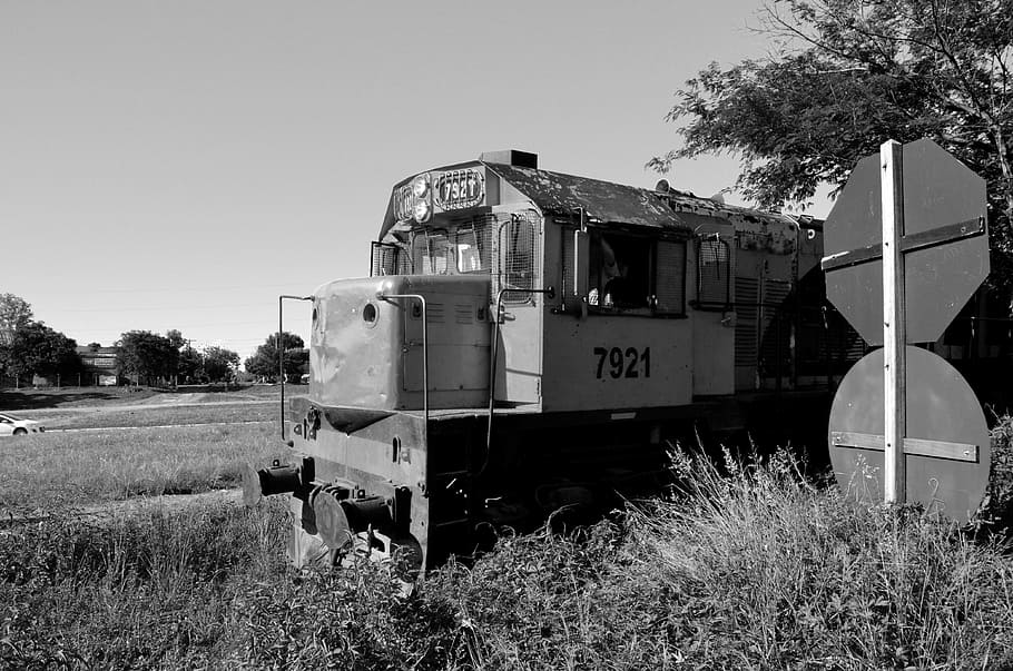 train, railroad, crazy, plant, land, nature, field, tree, transportation HD wallpaper
