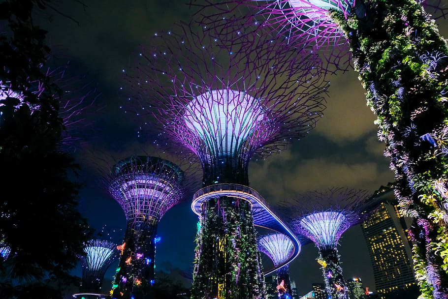 Gardens by the Bay, Singapore, untitled, architecture, modernism HD wallpaper
