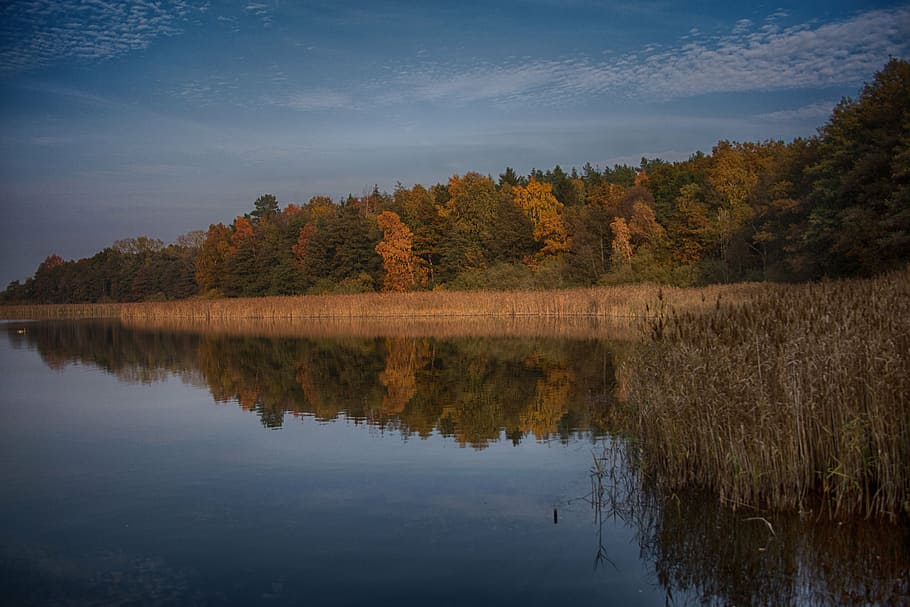 lake, water, landscape, reflections, glass joke, tree, tranquility HD wallpaper