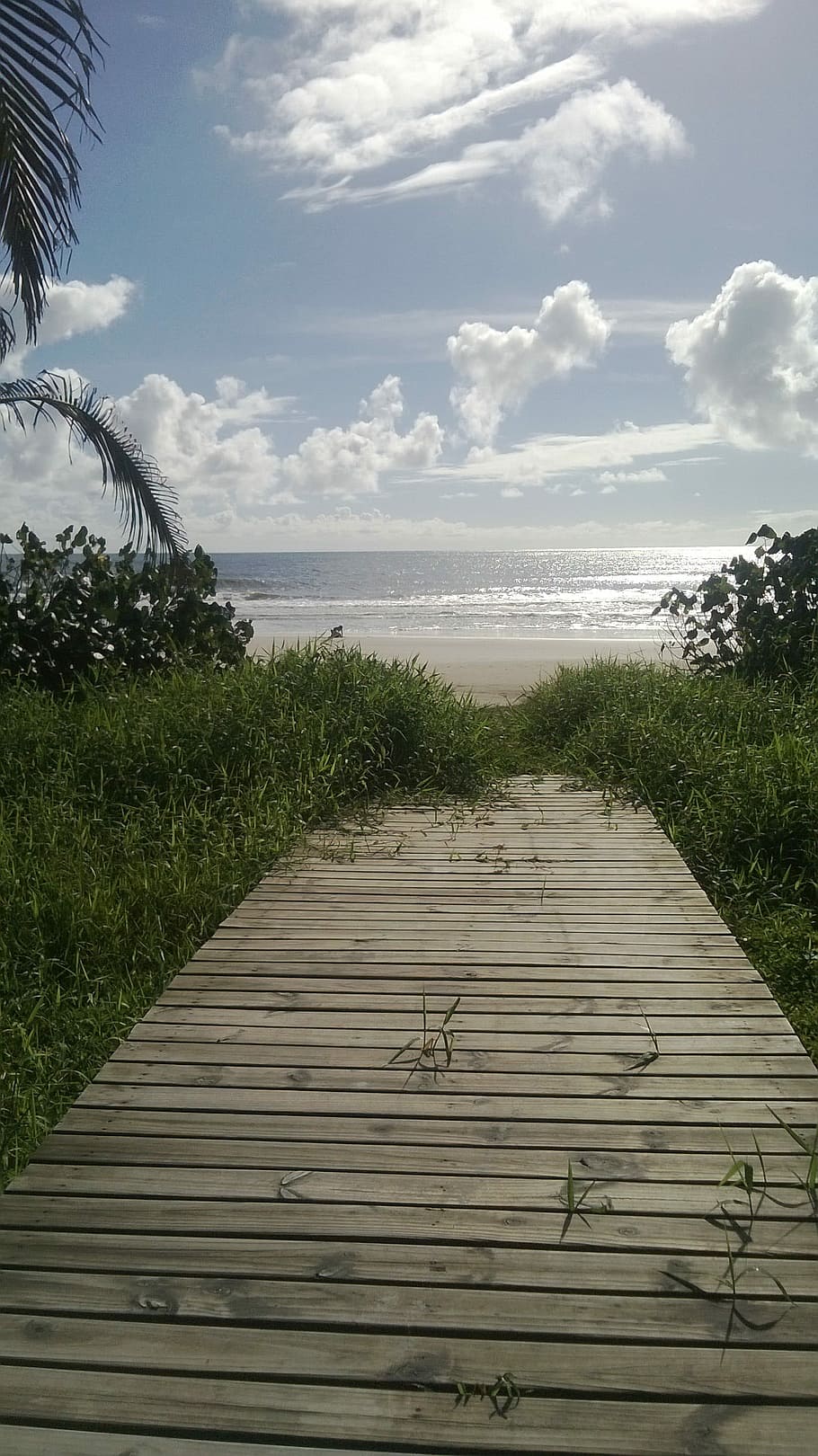 Beach, Beira Mar, Sunny, Itapoá, cloud - sky, water, scenics HD wallpaper