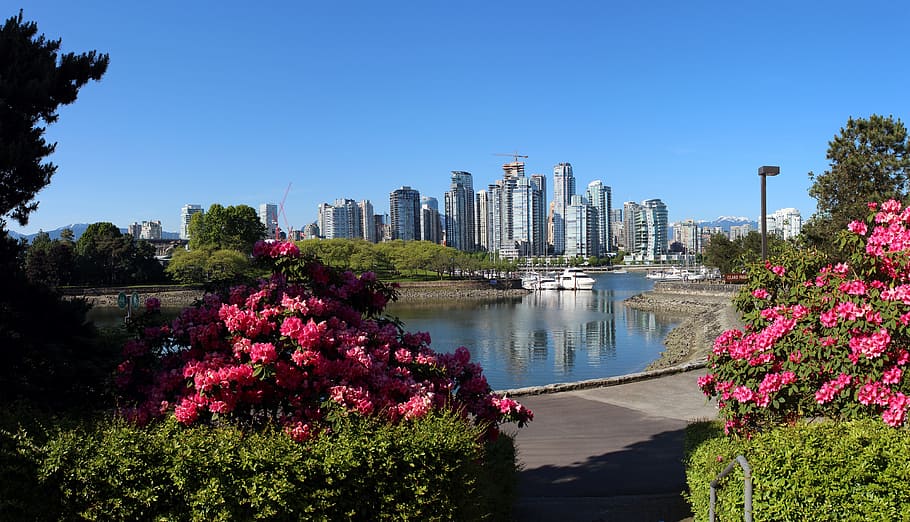 Vancouver, False Creek, City, Panorama, city panorama, cityscape