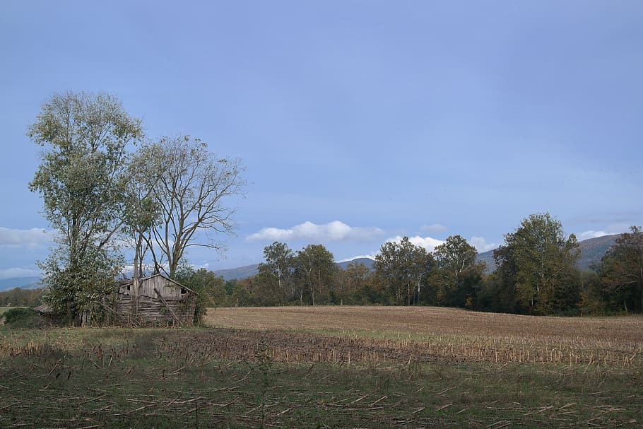 scenery, rustic, landscape, country, countryside, trees, outdoors HD wallpaper