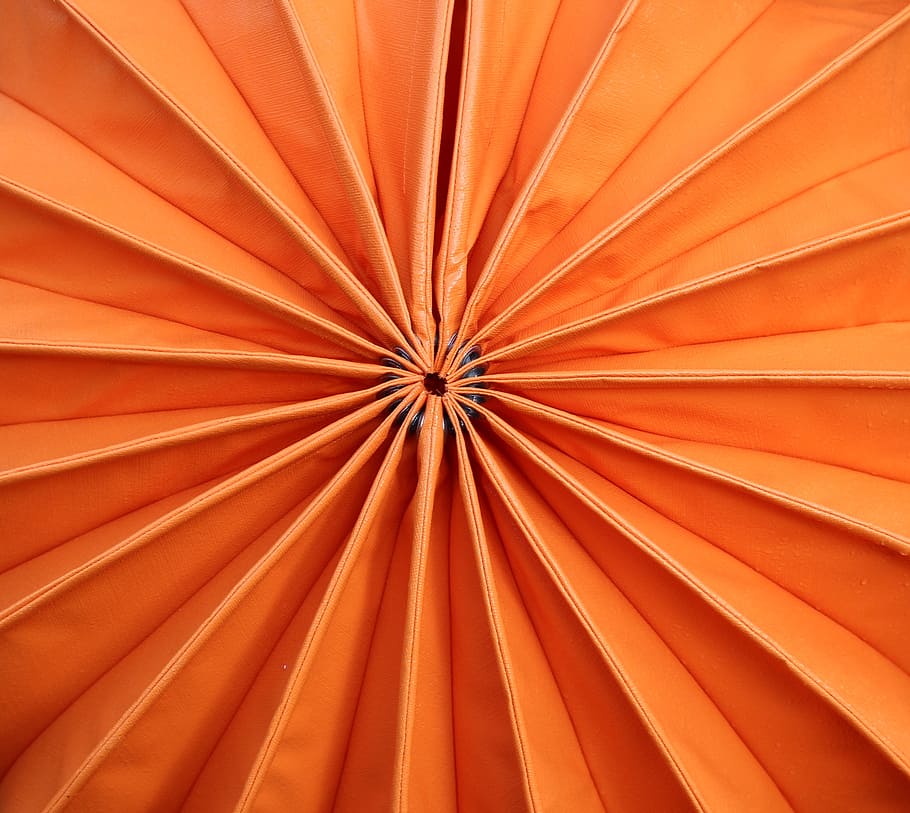 orange, lampion, closure, picture puzzle, weatherproof, robust, HD wallpaper