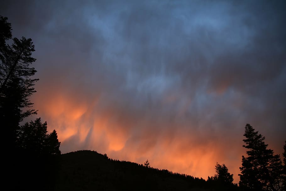 silhouette photo of trees, mountain, highland, dark, cloud HD wallpaper