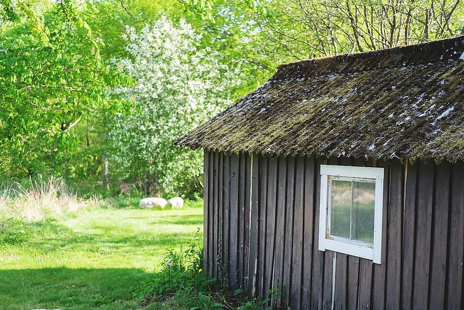 cottage, house, summer, window, grass, roof, nature, forest HD wallpaper