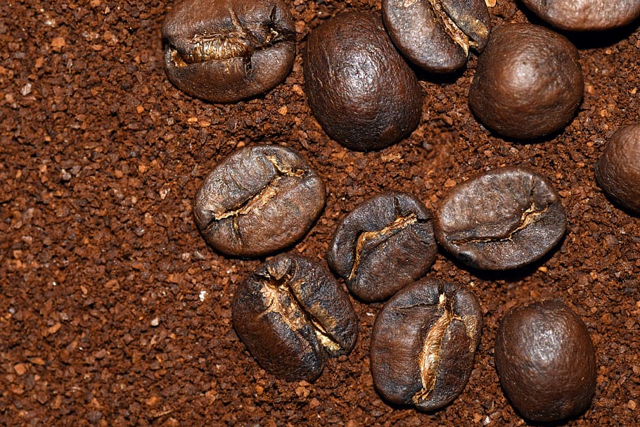 Coffee, Cafe, Beans, Drink, Benefit, benefit from, coffee beans HD wallpaper