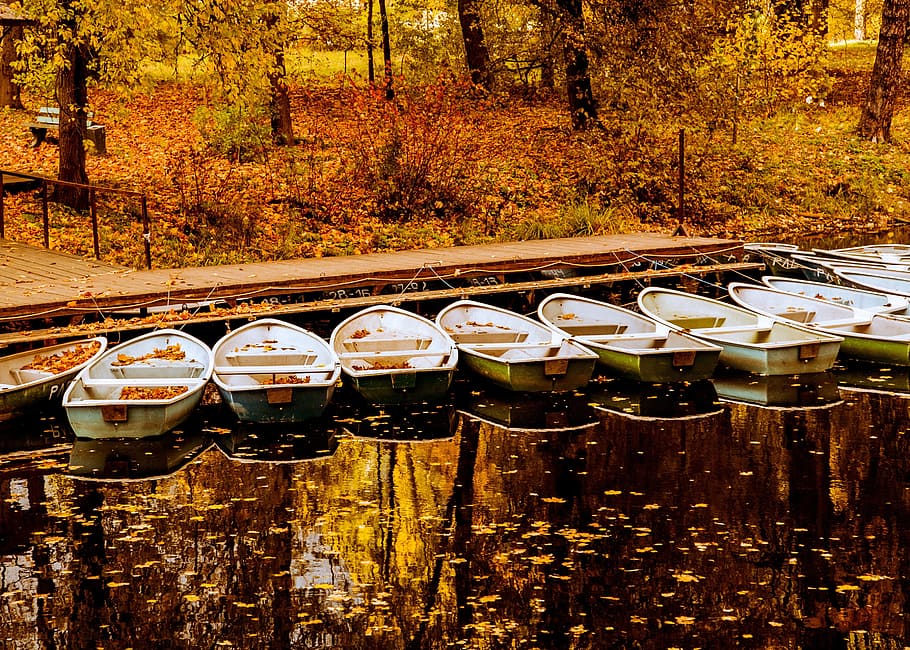 gray Jon boats beside dock, water, reflection, leaf, fall, autumn HD wallpaper