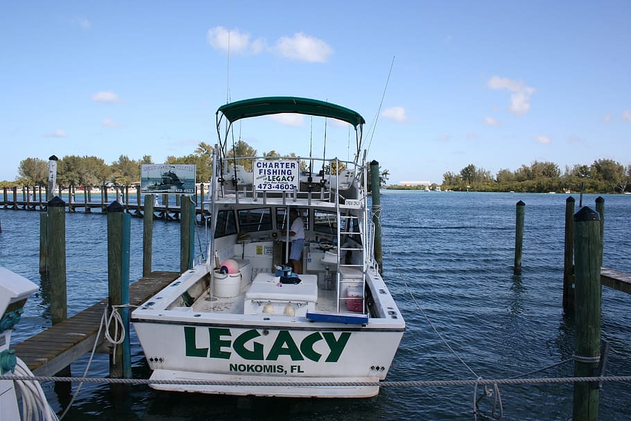 fishing, venice florida, water, nautical vessel, transportation HD wallpaper