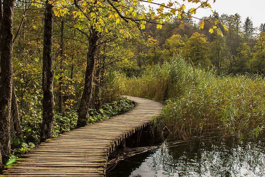 brown wooden bridge, plitvice lakes, croatia, water, landscape HD wallpaper