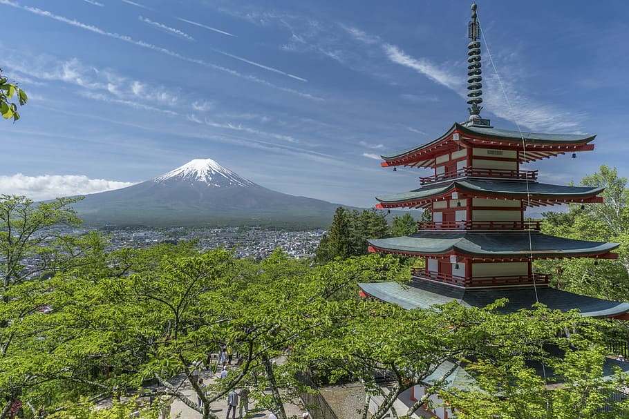 high view of temple surrounded of green trees, fuji, mount, pagoda