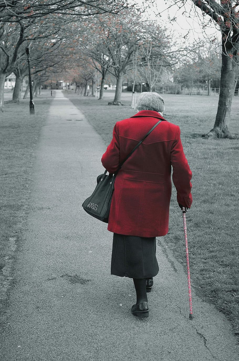 woman with cane walking on street, Old, People, Coat, age, park, HD wallpaper