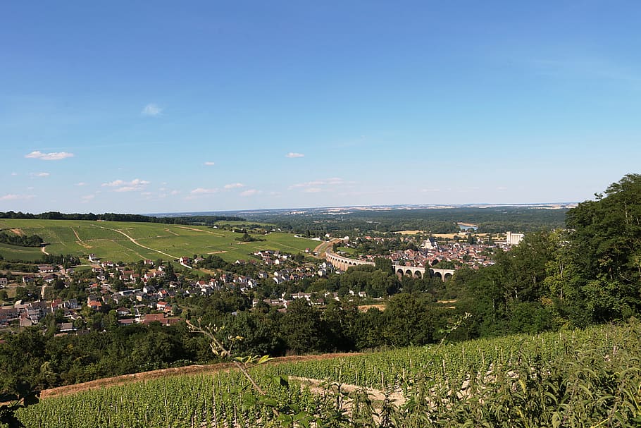 landscape photography of hill, sancerre, loire, vineyard, wine