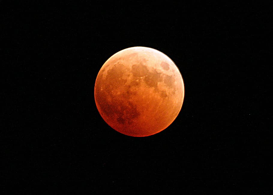 red moon photo, lunar eclipse, blood, orange, cosmos, space HD wallpaper