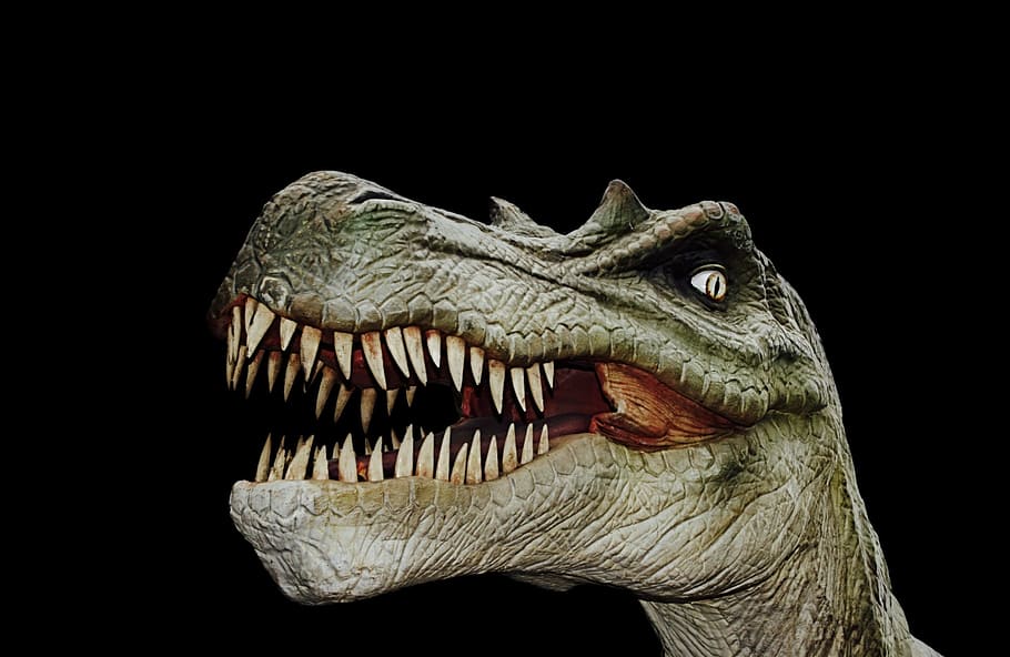 T-Rex poster, dinosaur, giant lizard, prehistoric times, t rex, HD wallpaper
