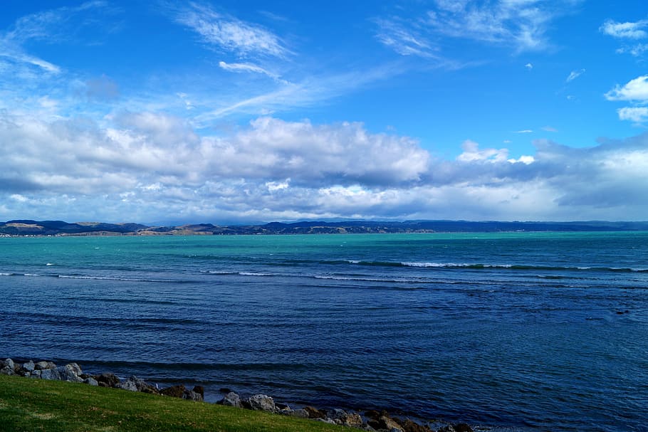 Sea, New Zealand, Napier, Coast, Nature, rocky coast, turquoise, HD wallpaper