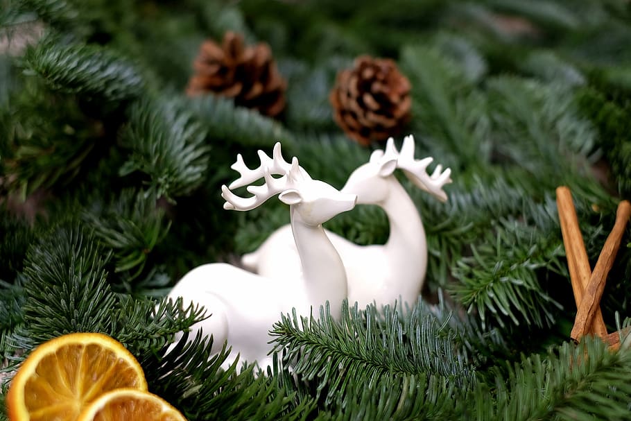 deer, pair, decoration, figures, advent, celebration, holiday HD wallpaper